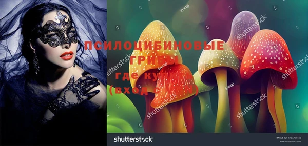 прущая мука Алзамай